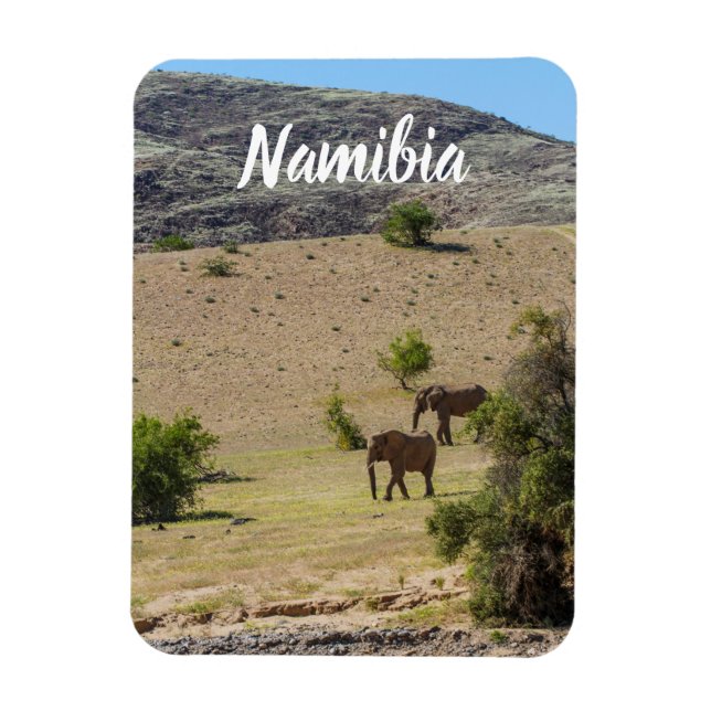 Ímã Namíbia Africa Huab River Elephant Damaraland (Vertical)
