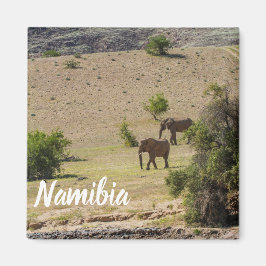 Imã Namíbia Africa Huab River Elephant Damaraland