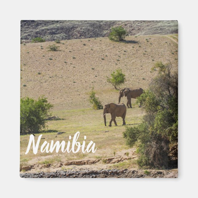 Imã Namíbia Africa Huab River Elephant Damaraland (Frente)