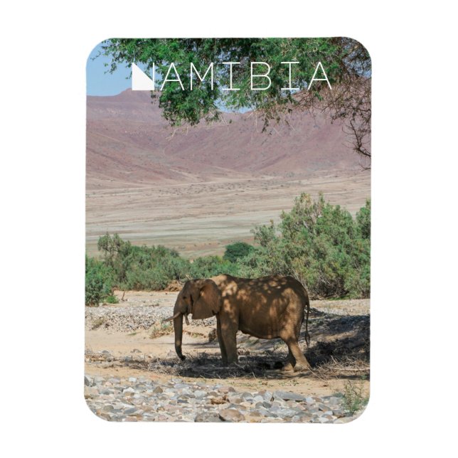 Ímã Namíbia Africa Huab River Elephant Damaraland (Vertical)