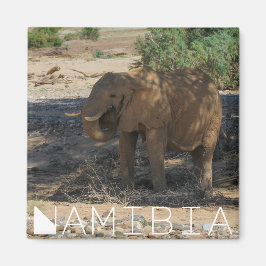 Imã Namíbia Africa Huab River Elephant Damaraland