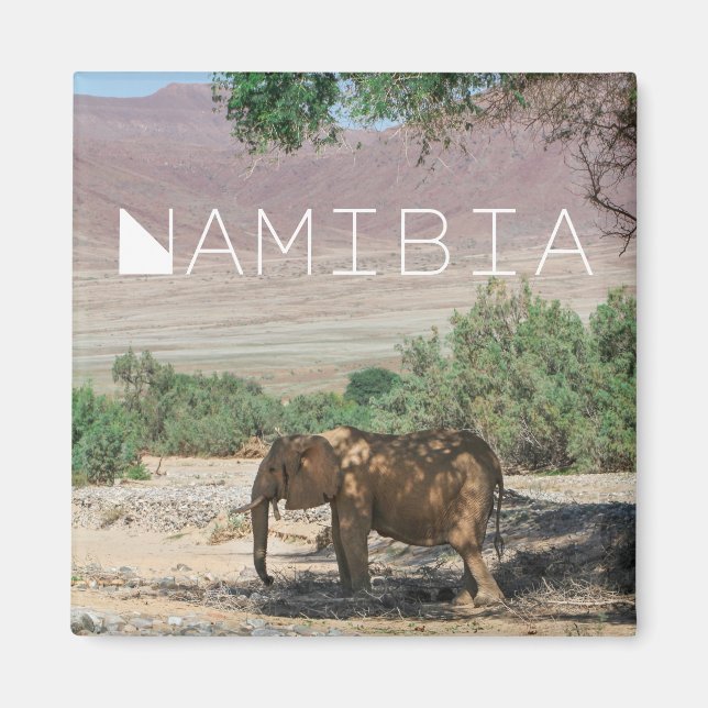 Imã Namíbia Africa Huab River Elephant Damaraland (Frente)