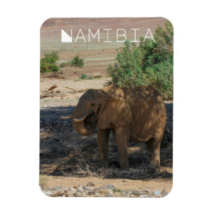 Ímã Namíbia Africa Huab River Elephant Damaraland