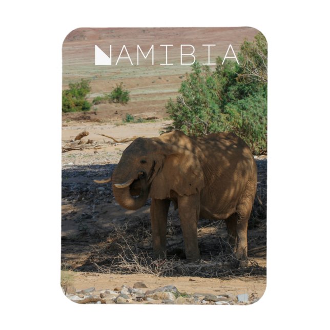 Ímã Namíbia Africa Huab River Elephant Damaraland (Vertical)