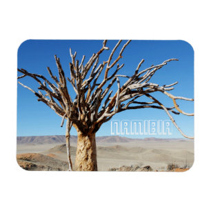 Ímã Namíbia Tirool Namib Paisagem do Deserto Kokerboom