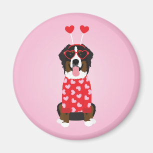 Imã Namorados Bernese Mountain Dog