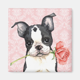 Imã Namorados Boston cor-de-rosa Terrier