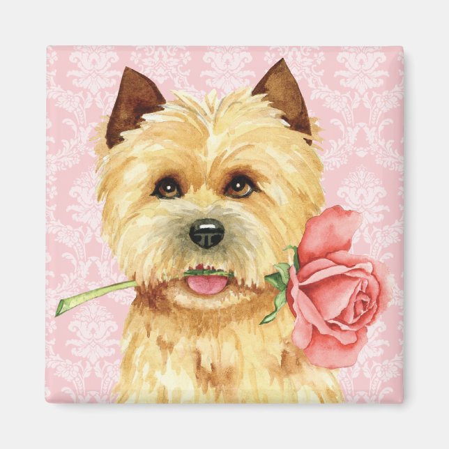 Imã Namorados Cairn Terrier Magnet (Frente)