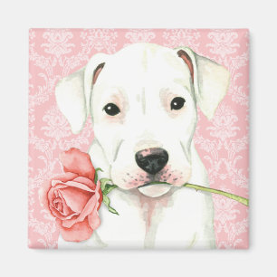 Imã Namorados Dogo cor-de-rosa