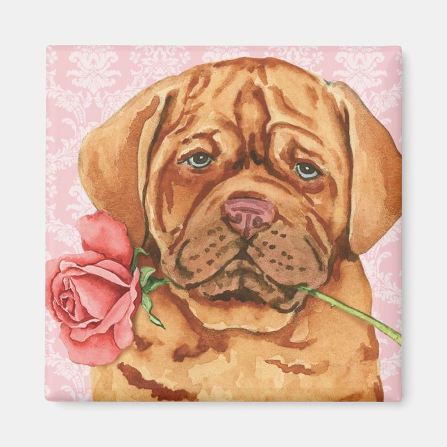 Imã Namorados Dogue de Bordeaux (Frente)