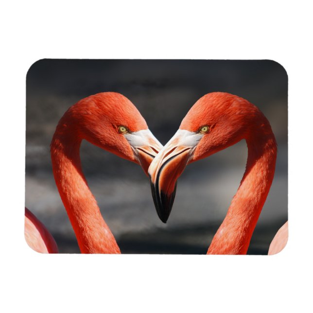 Ímã Namorados Flamingo (Horizontal)