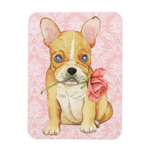 Ímã Namorados Frenchie cor-de-rosa