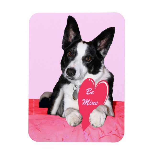 Ímã Namorados Magnet - "Magpie" (Vertical)