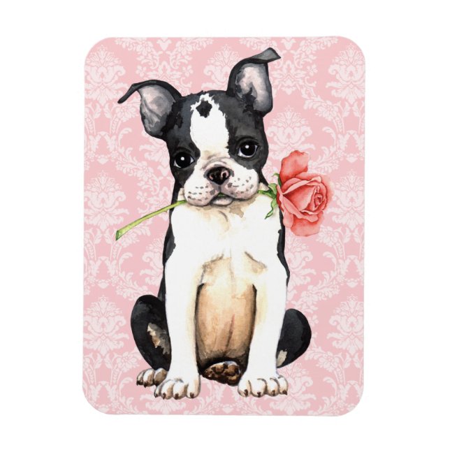 Ímã Namorados Rosa Boston Terrier (Vertical)
