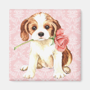 Imã Namorados Rosa Cavalier