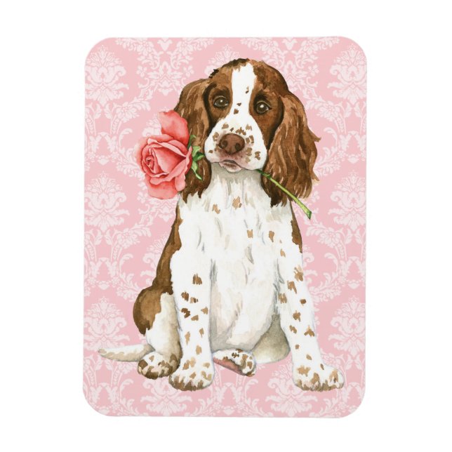 Ímã Namorados Rosa English Springer (Vertical)