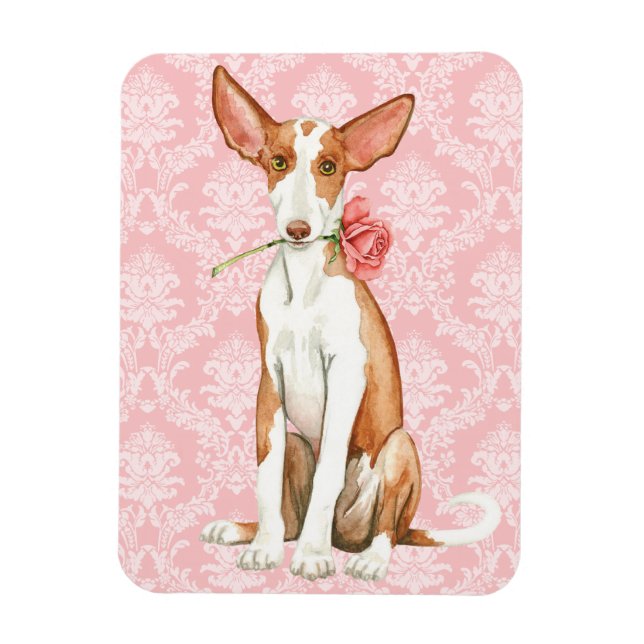 Ímã Namorados Rosa Ibizan Hound (Vertical)