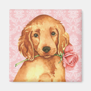 Imã Namorados Rosa Irish Setter