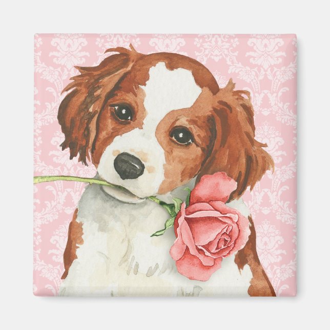 Imã Namorados Rosa Kooiker (Frente)
