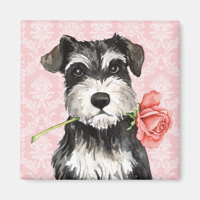 Imã Namorados Rosa Mini Schnauzer (Frente)