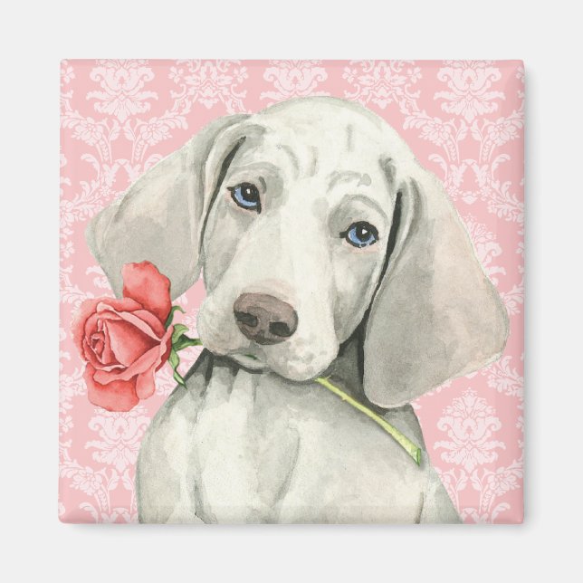 Imã Namorados Rosa Weimaraner (Frente)
