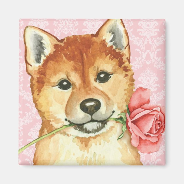 Imã Namorados Shiba Inu (Frente)