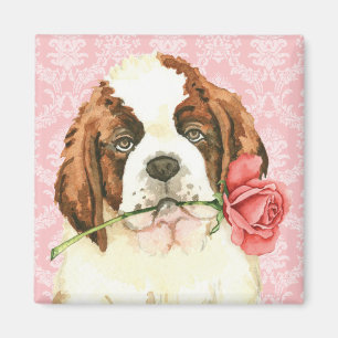 Imã Namorados St Bernard cor-de-rosa