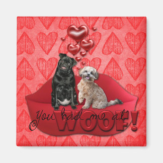 Imã Namorados, você me pegou no Woof!