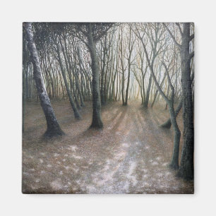 Imã Não.2 - "After the snow", por Ron McGill.