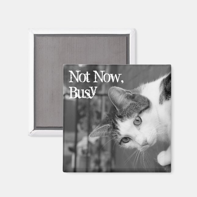 Imã "Não Agora, Ocupado" Magneta Crabby Cat (Front/Back)