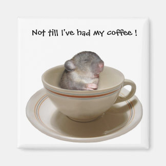 Imã Não até eu tomar meu café, Magnet