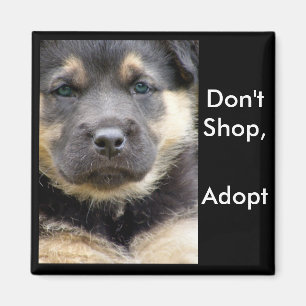 Imã Não comprar adotam! ímãs do shep