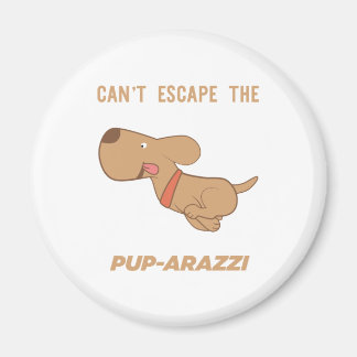 Imã Não consigo escapar do pup-arazzi