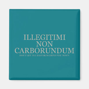 Imã Não deixe os bastardos mmoê-lo para baixo - luz