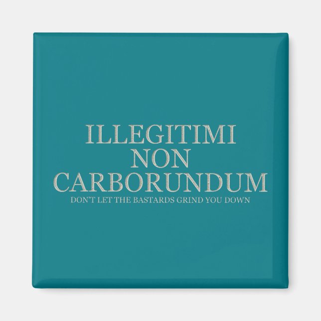 Imã Não deixe os bastardos te moverem para baixo - Luz (Frente)