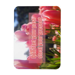 Ímã Não deixe seu passado roubar seu presente