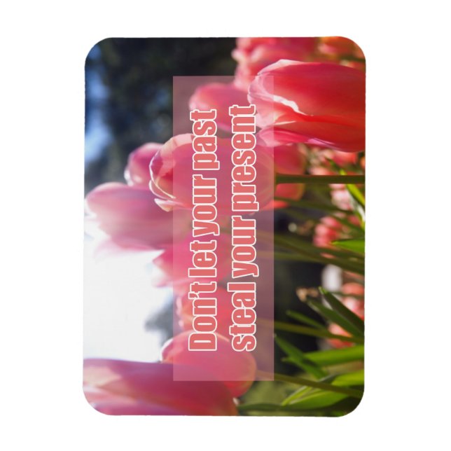 Ímã Não deixe seu passado roubar seu presente (Vertical)