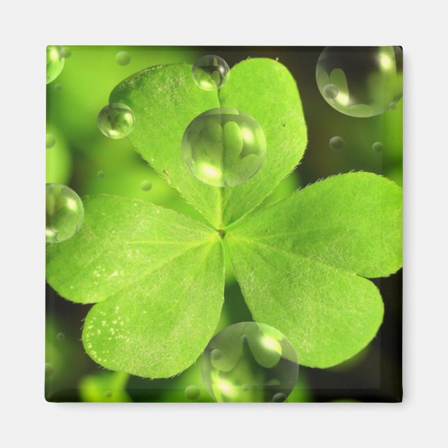 Imã Não deixe sua sorte lavar o ímã (Frente)