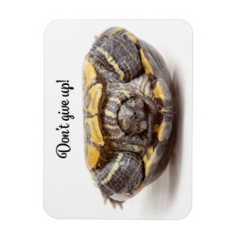 Ímã Não desista do encorajamento de tartaruga invertid