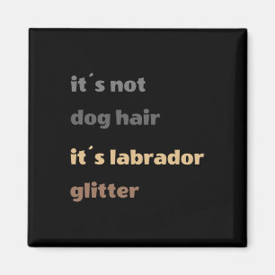 Imã Não É Cabelo De Cão