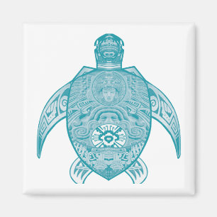 Imã Não é maravilha comum