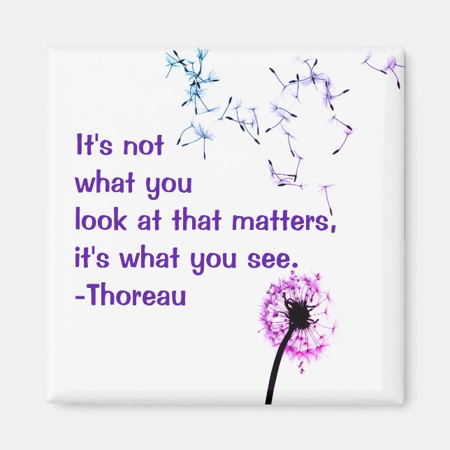 Imã Não é o que você olha para o Thoreau Magnet (Frente)