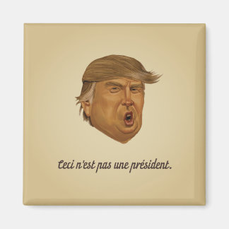 Imã Não é um Presidente Magnet