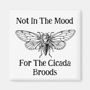 Imã Não Está No Humor Para As Florestas De Cicada