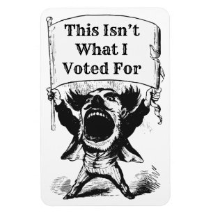 Ímã Não foi por isso que votei