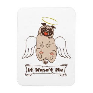Ímã Não foi uma citação engraçada do meu anjo