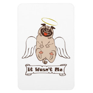 Ímã Não foi uma citação engraçada do meu anjo