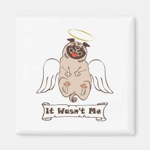 Imã Não foi uma citação engraçada do meu anjo