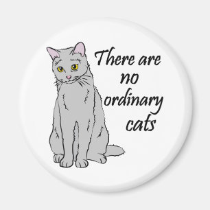 Imã Não Há Gatos Comuns