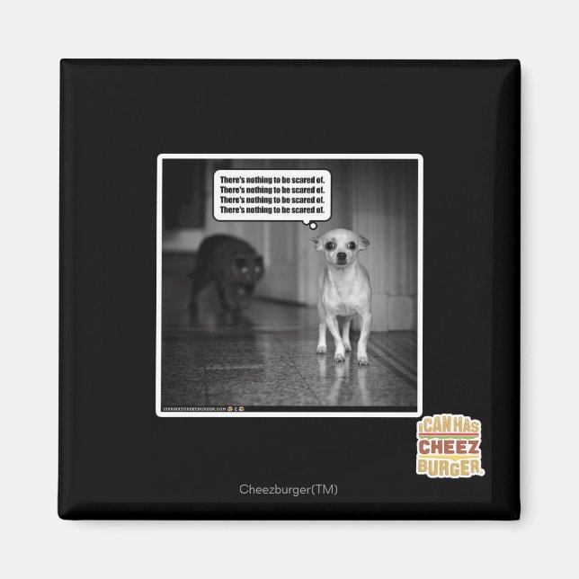 Imã Não há nada de que se ter medo (Frente)